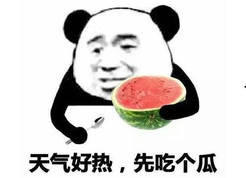 娱乐圈吃瓜表情图卡通版,趣味解读明星幕后故事