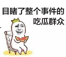 吃瓜群众配图,吃瓜群众视角下的娱乐圈风云录